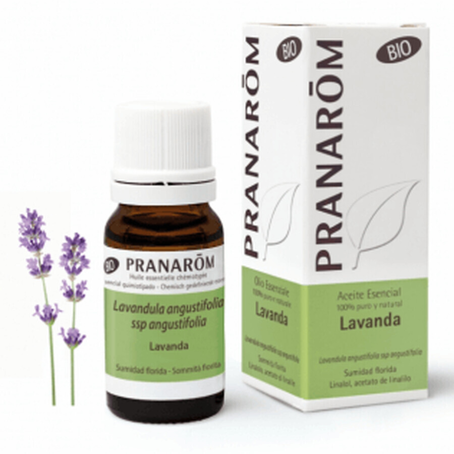 Pranarom Ulei esențial de lavandă 10 ml, Lavandula angustifolia ORGANIC
