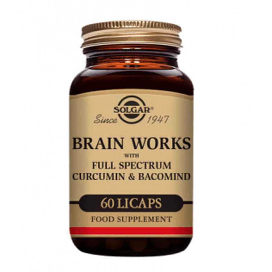 Solgar Brain Works 60 tabs