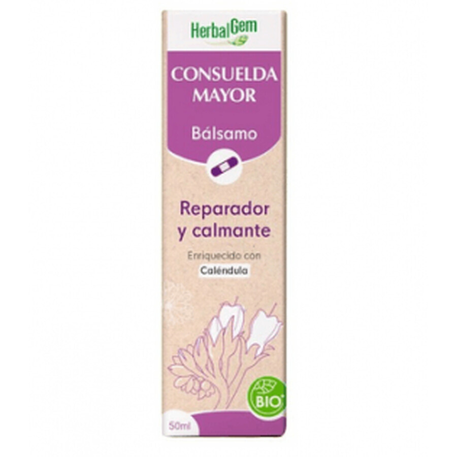 Pranarom Comfrey Lip Balm 10ml