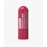 Isdin Isdin Lip Repair Stick 4g Kastanjebruine kleur