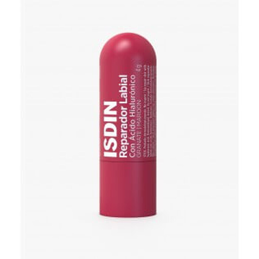 Isdin Isdin Lip Repair Stick 4g Maroon Colour