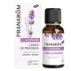 Pranarom