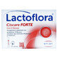 Lactoflora Ciscare Forte 10 sachets Lemon