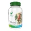 Catina, 60 capsules, Pro Natura