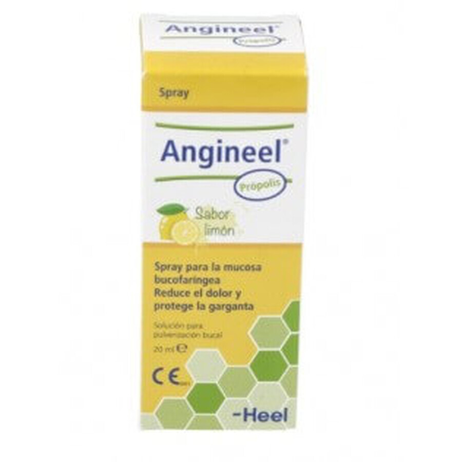Angineel Propolis Mondspray Oplossing Spray 20ml