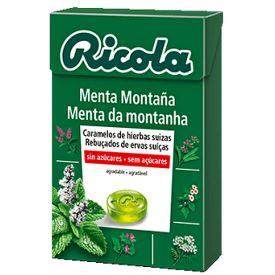 Buy Ricola Sugarfree Candy Mountain Mint, 50 g Ricola Sugarfree Candy Mountain Mint, 50 g