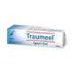 Traumeel Sport Gel 100g