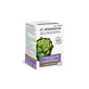Arkopharma Artichoke 40 Caps