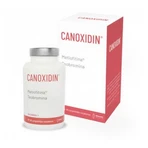 Canoxidin 90 Tabletten