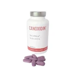 Canoxidin 90 Tabletten
