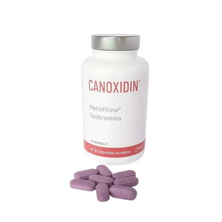 Canoxidin 90 Tabletten