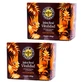 Black Bee DUPLO VItality 2 x 20 amp