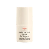Embryolisse Secret de Maquilleurs Resplandor de la Mirada 4,5 g
