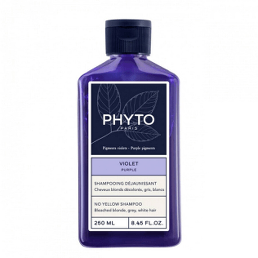 Buy Phyto Violet Shampoo 250ml Phyto Violet Shampoo 250ml