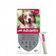 ADVANTIX ANTIPARASITIC PIPETTES 2,5 DOG 10-25KG 1 PIPETTE