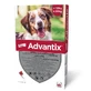 ADVANTIX ANTIPARASITIC PIPETTES 2,5 DOG 10-25KG 1 PIPETTA
