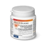 Pileje Multibiane 120 capsules