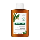 Klorane Galanga ausgleichendes Shampoo 200ml