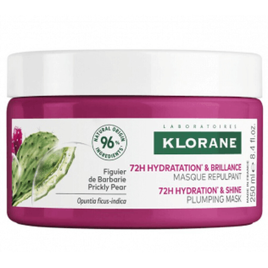 Comprar Klorane Mascarilla Repulpante Higo de Babaria 250ml Klorane Mascarilla Repulpante Higo de Babaria 250ml
