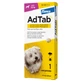 ADTAB 112 MG 1 COMPRIMIDO MASTICABLE PARA PERROS (2,5-5,5 KG)