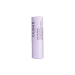 Caudalie Vinotherapeut Lip Treatment 4g