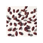 Phyto Phanere DUPLO Haar en Nagels 2 x 120 capsules voor 4 Maanden