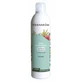 Pranarom Aromaforce Luchtzuiverende Spray Tea Tree Ravintsara+Eucalyptus, 150ml