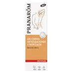 Pranarom Aromatisches Massageöl 100ml