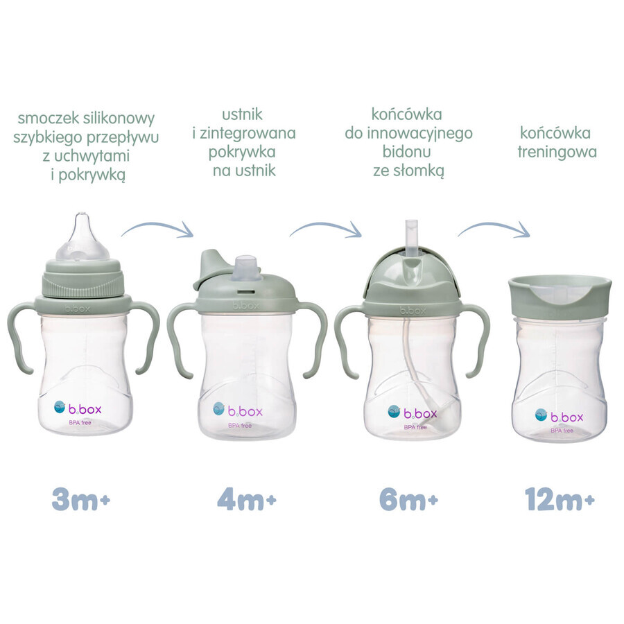 B.Box, learning to drink cup, 4-in-1 set, sage, from 4 months, 240 ml