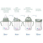 B.Box, learning to drink cup, 4-in-1 set, sage, from 4 months, 240 ml B.Box, learning to drink cup, 4-in-1 set, sage, from 4 months, 240 ml
