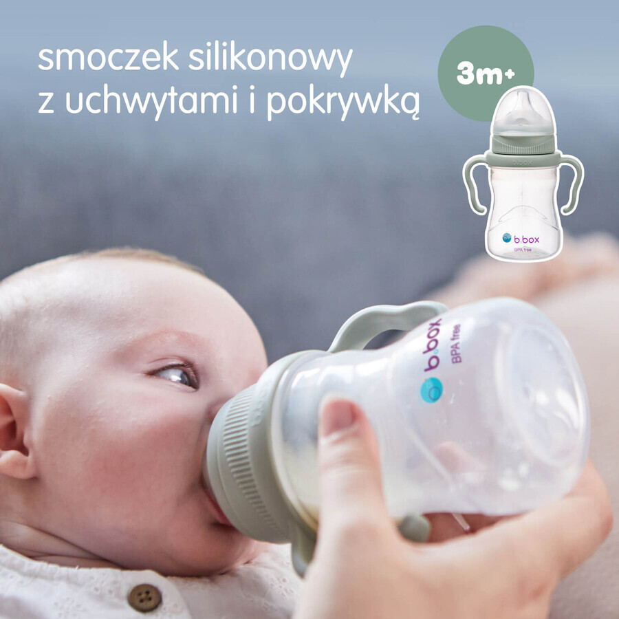 B.Box, learning to drink cup, 4-in-1 set, sage, from 4 months, 240 ml