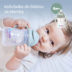 B.Box, learning to drink cup, 4-in-1 set, sage, from 4 months, 240 ml B.Box, learning to drink cup, 4-in-1 set, sage, from 4 months, 240 ml