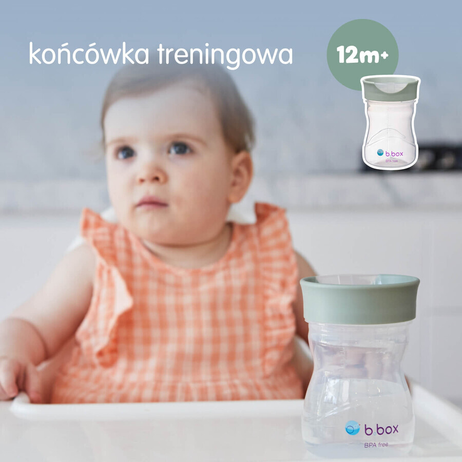 B.Box, learning to drink cup, 4-in-1 set, sage, from 4 months, 240 ml