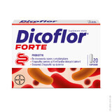 Dicoflor Forte (anciennement Dicoflor 6), pour les enfants à partir de 3 ans et les adultes, 20 gélules