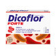 Dicoflor Forte (fr&#252;her Dicoflor 6), f&#252;r Kinder ab 3 Jahren und Erwachsene, 20 Kapseln