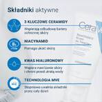 CeraVe set, hydraterende gezichtscrème met ceramiden, normale en droge huid, 52 ml + reinigende reinigingsgel met ceramiden, normale en vette huid, 236 ml