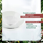 Kit Klorane, champú anticaída y falta de vitalidad, 400 ml + suero anticaída, 100 ml