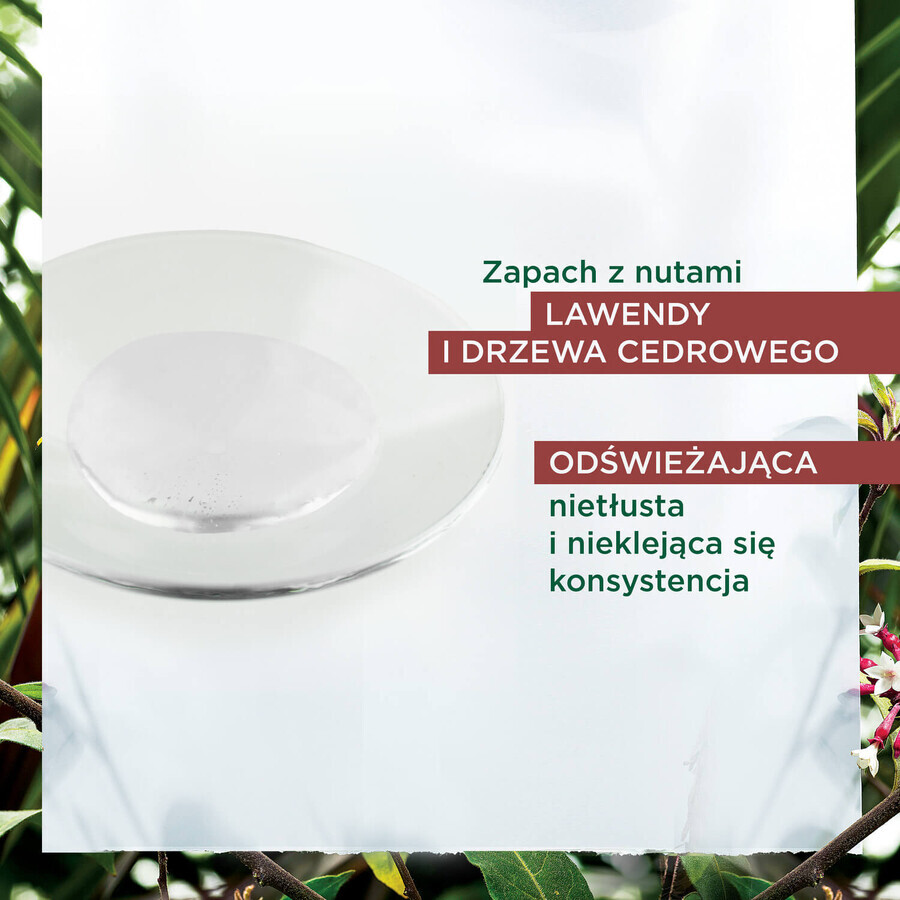 Kit Klorane, champú anticaída y falta de vitalidad, 400 ml + suero anticaída, 100 ml