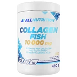 Allnutrition Collageen Vis 10000 mg, sinaasappelsmaak, 480 g