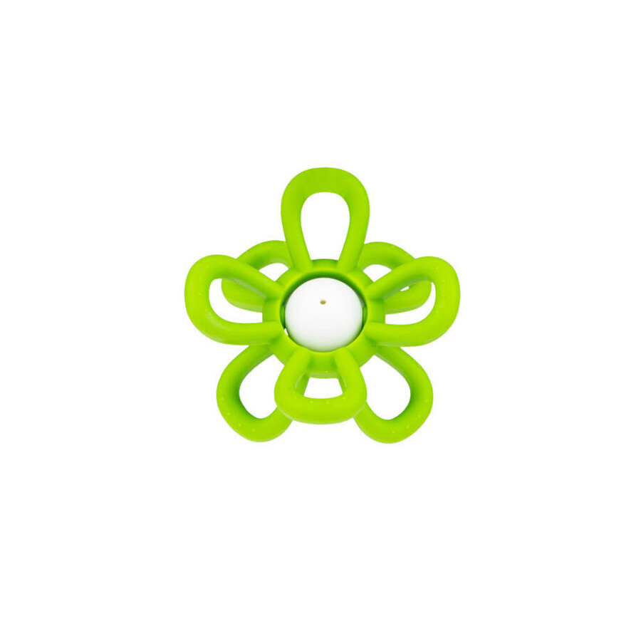 Dumel GiliGums, sonaglino con tether, Fiore, verde, a partire da 3 mesi, 1 pezzo