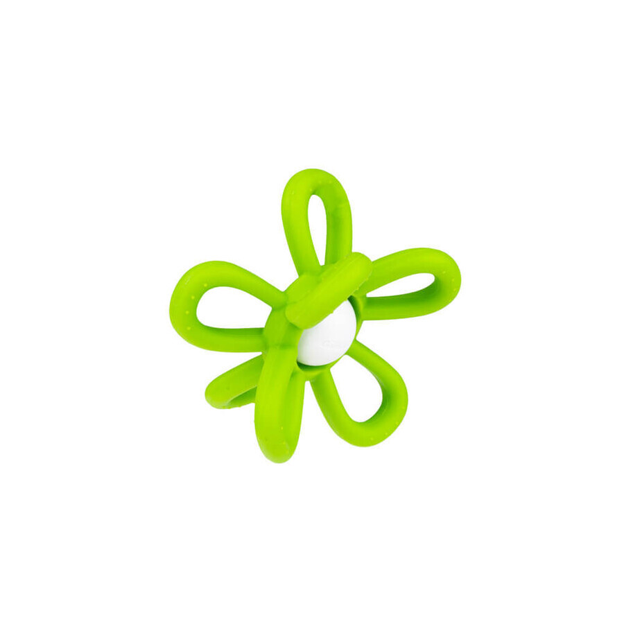 Dumel GiliGums, sonaglino con tether, Fiore, verde, a partire da 3 mesi, 1 pezzo