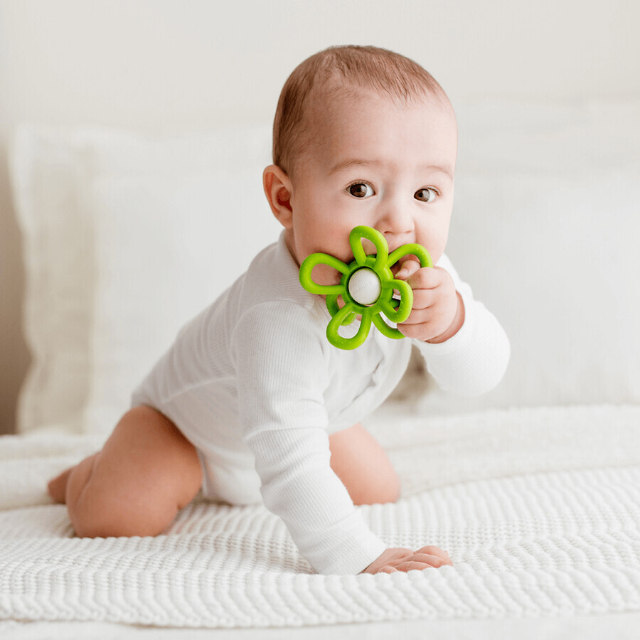 Dumel GiliGums, sonaglino con tether, Fiore, verde, a partire da 3 mesi, 1 pezzo