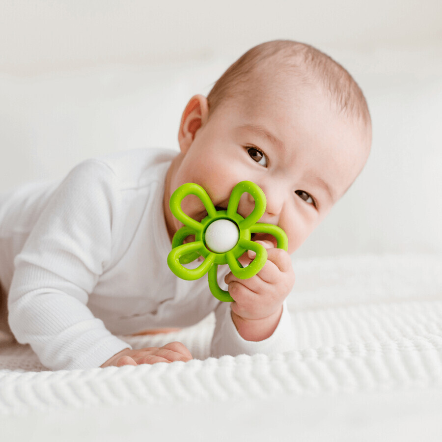 Dumel GiliGums, sonaglino con tether, Fiore, verde, a partire da 3 mesi, 1 pezzo