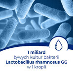 Dicoflor Babyset, voor zuigelingen en kinderen, druppels, 3 x 5 ml Dicoflor Babyset, voor zuigelingen en kinderen, druppels, 3 x 5 ml