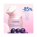 Caudalie Resveratrol-Lift, Crema de Día Lifting Cachemira, 50 ml