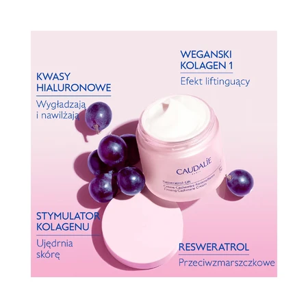 Caudalie Resveratrol-Lift, Crema de Día Lifting Cachemira, 50 ml