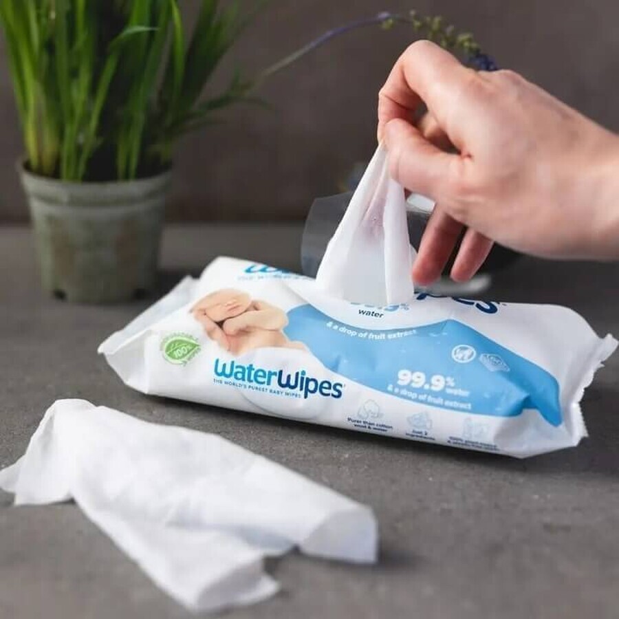 WaterWipes Bio, lingettes humides, eau, dès la naissance, 60 pièces + 2 x 10 pièces gratuites