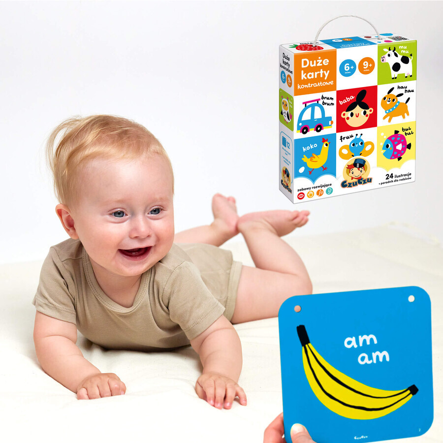 CzuCzu Große Kontrastkarten, Babybuch, 6-9 Monate, 24 Elemente