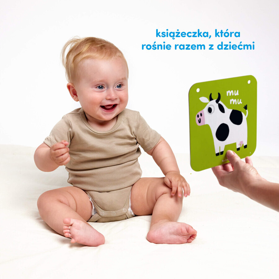 CzuCzu Große Kontrastkarten, Babybuch, 6-9 Monate, 24 Elemente