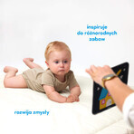 CzuCzu Große Kontrastkarten, Babybuch, 6-9 Monate, 24 Elemente